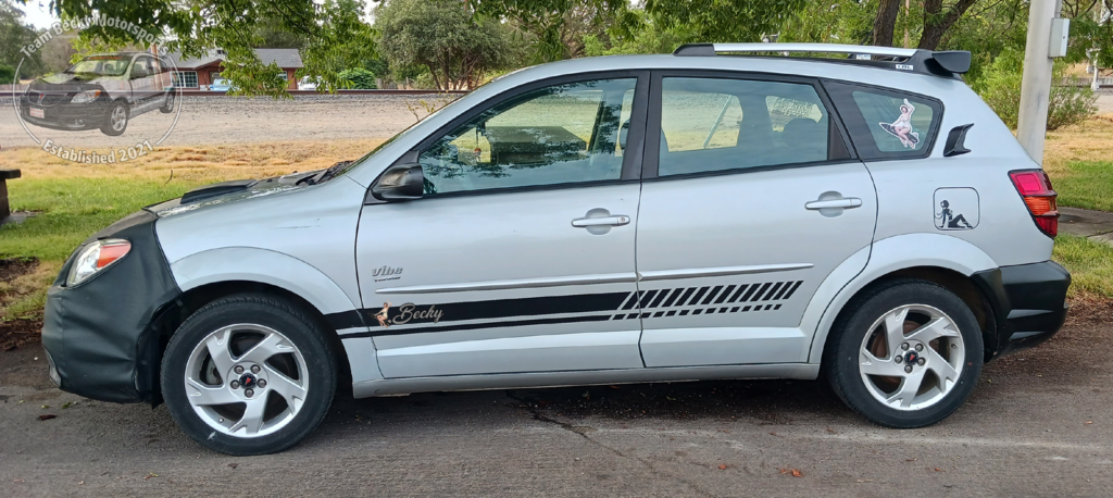 A freshly washed Becky looks very similar in February 2023 to how she looked in July 2022, but there are a few minor changes.